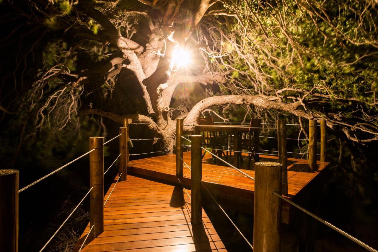 Naledi Lodges Balule Game Reserve Exterior foto